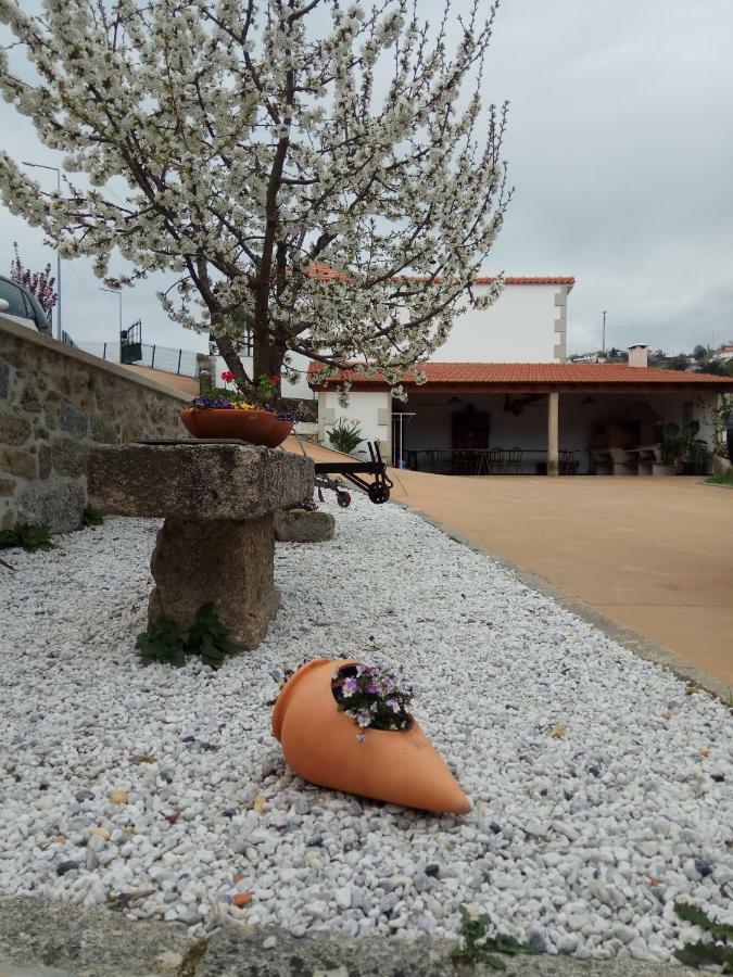 Casa Freitas Villa Paredes de Coura Exterior photo